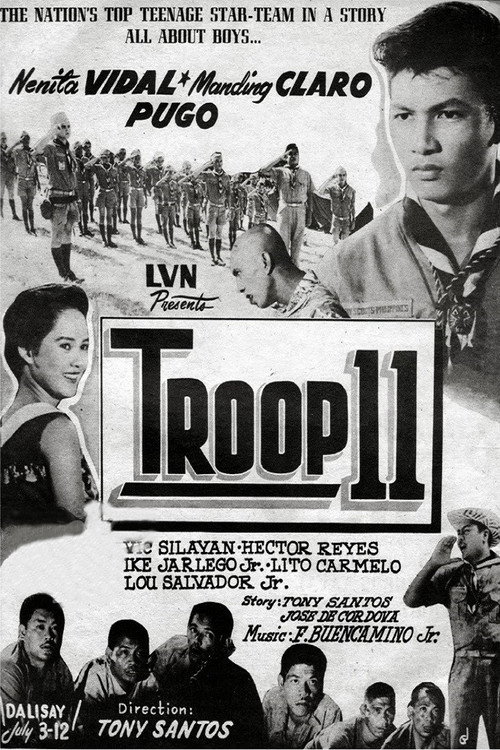 Troop 11 poster