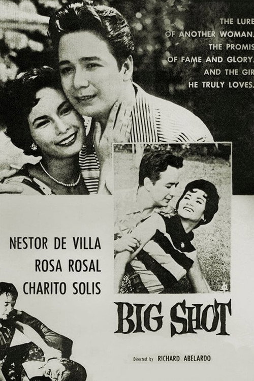 Big Shot poster