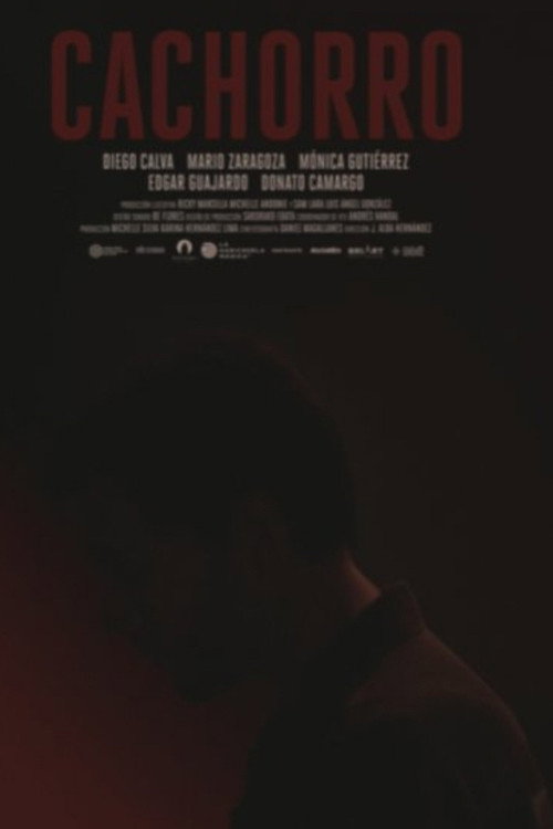 Cachorro poster
