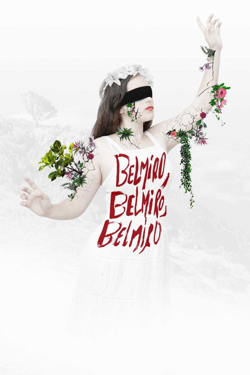 Belmiro, Belmiro, Belmiro poster