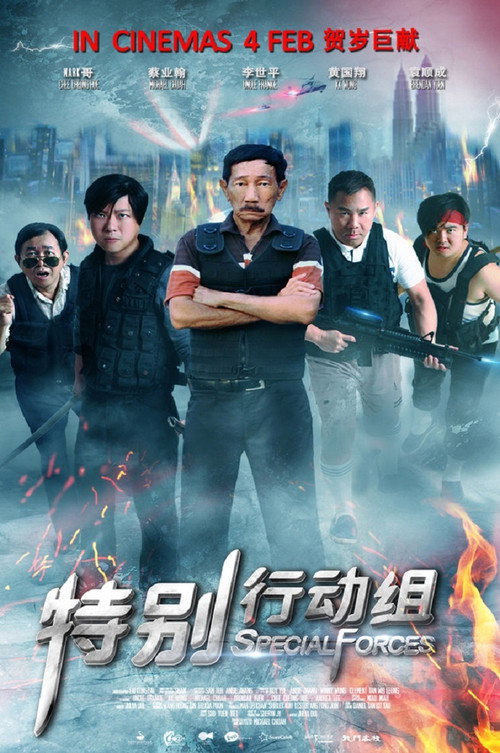 Special Forces poster