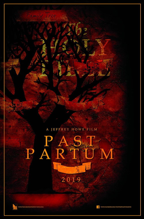 Past Partum poster