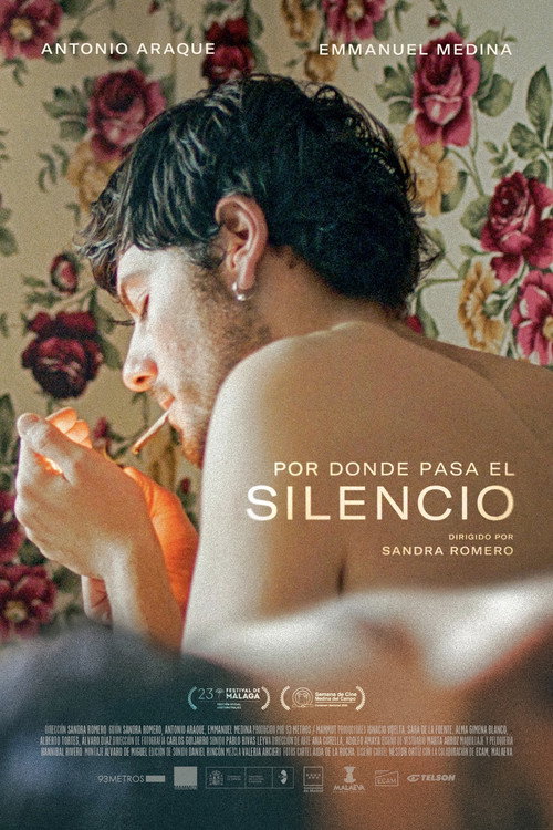 Where the Silence Passes poster