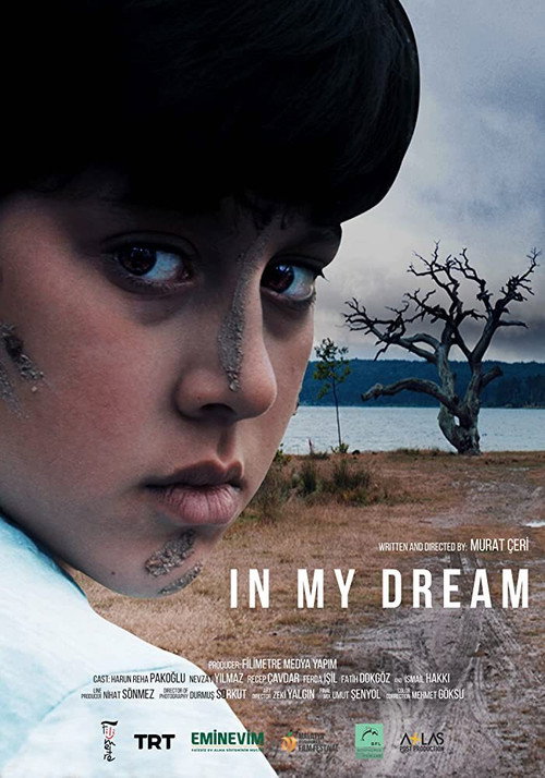 In My Dream poster