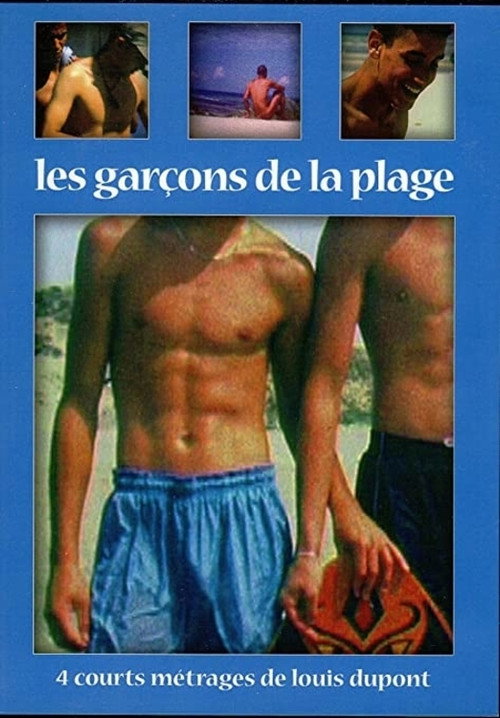 Beach Boys poster