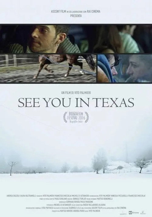 See You in Texas poster