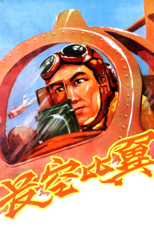 Flying in the Sky poster