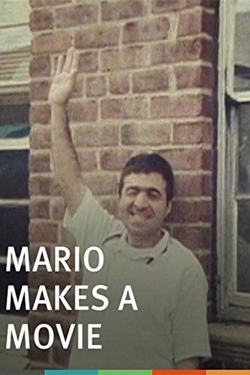 Mario Makes a Movie poster
