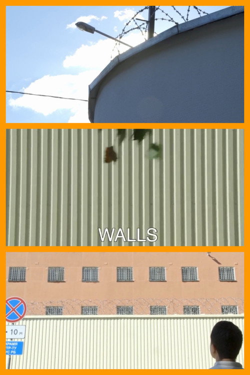 Walls poster