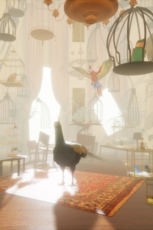 The Bird Lady poster
