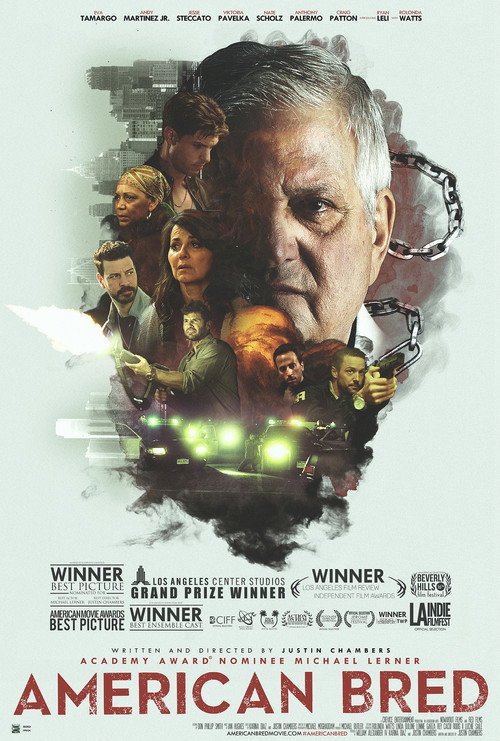 American Bred poster