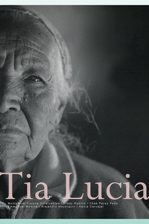 Aunt Lucía poster