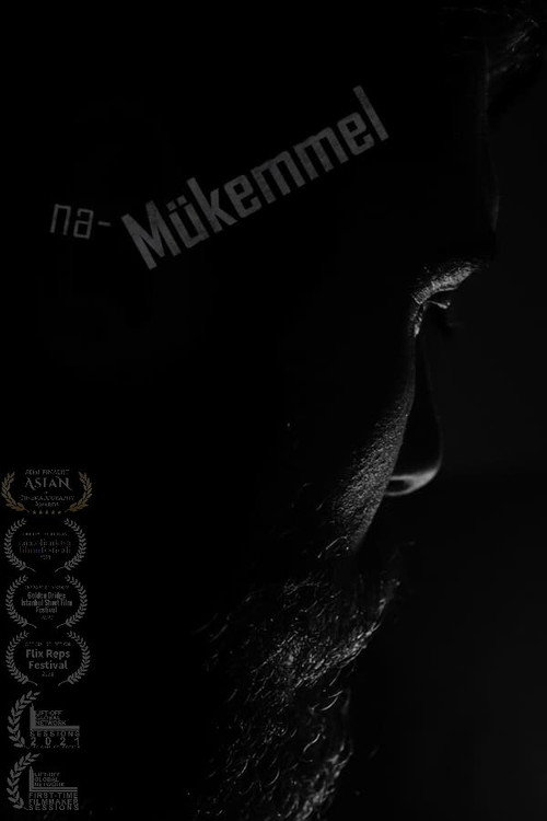 Imperfect poster