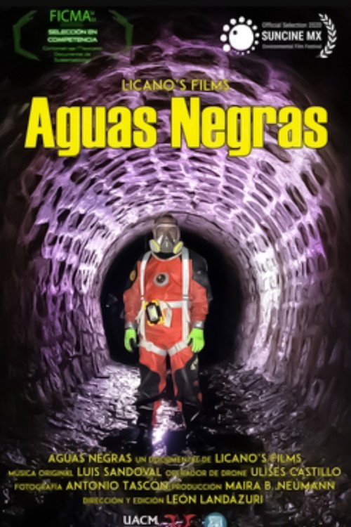 Aguas Negras poster