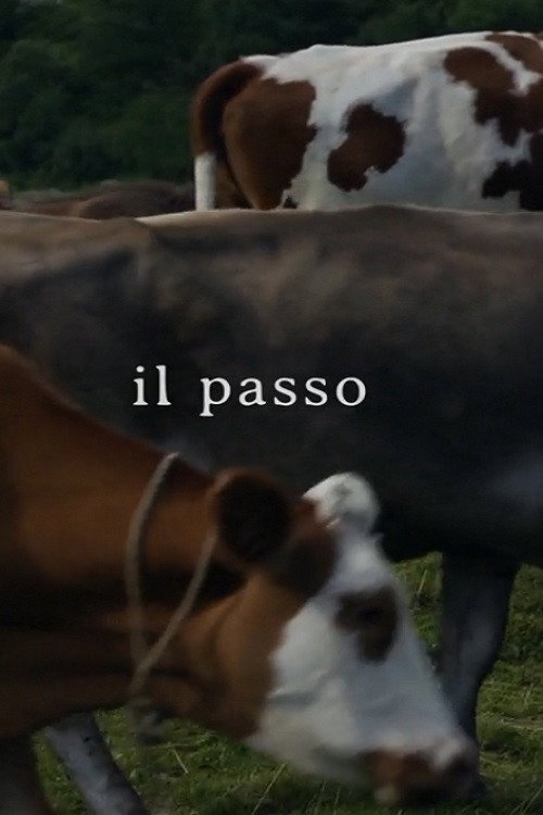 Il passo poster