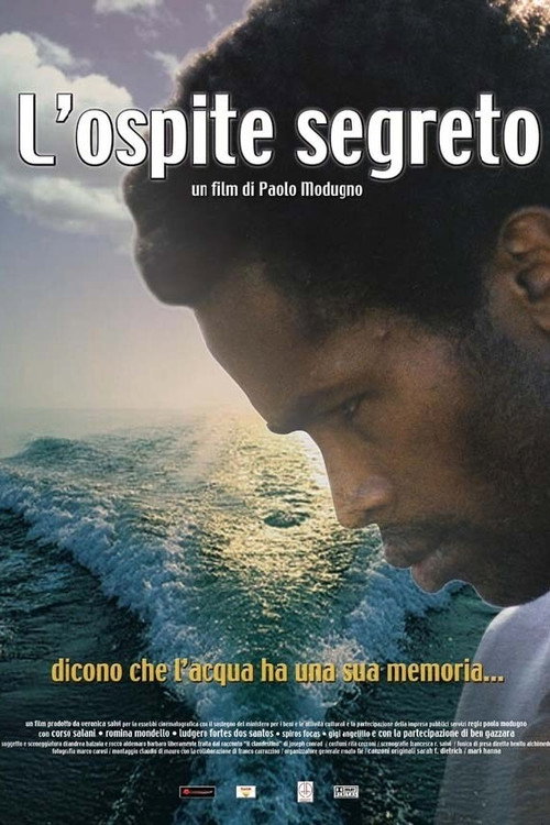 L'ospite segreto poster