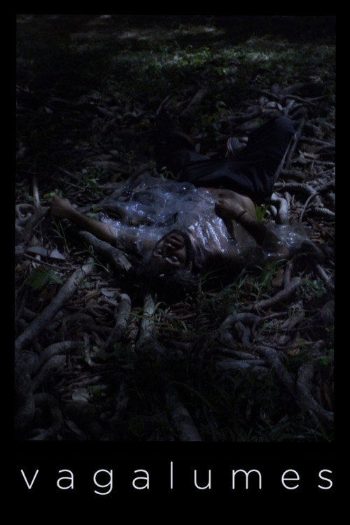 Fireflies poster