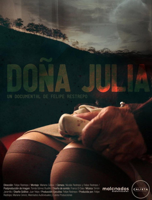 Doña Julia poster