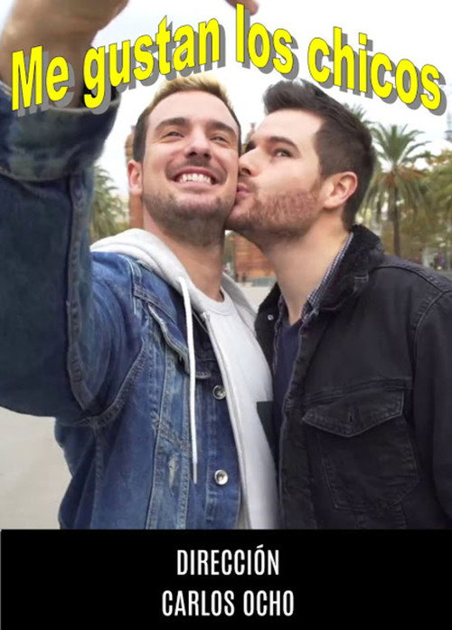 Me Gustan los Chicos poster