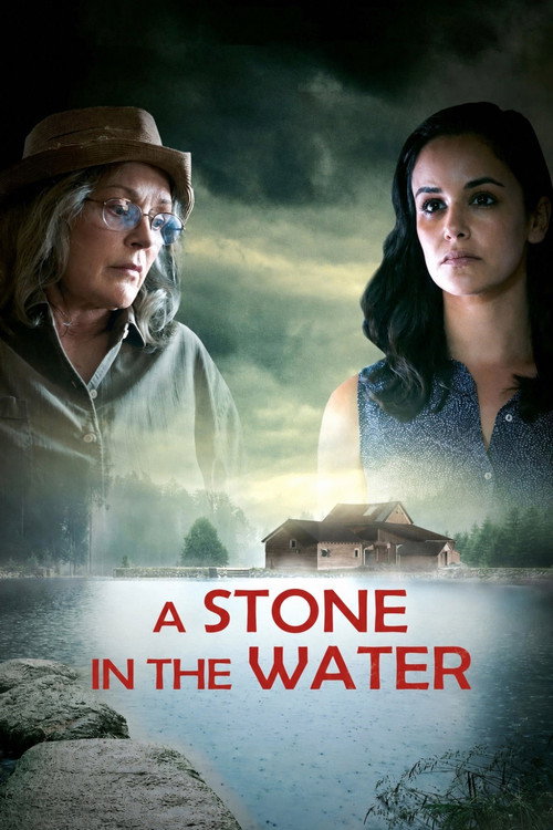 A Stone in the Water poster