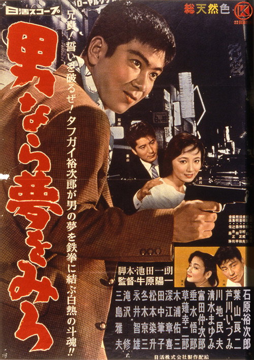 Dream Young Man's Dream poster