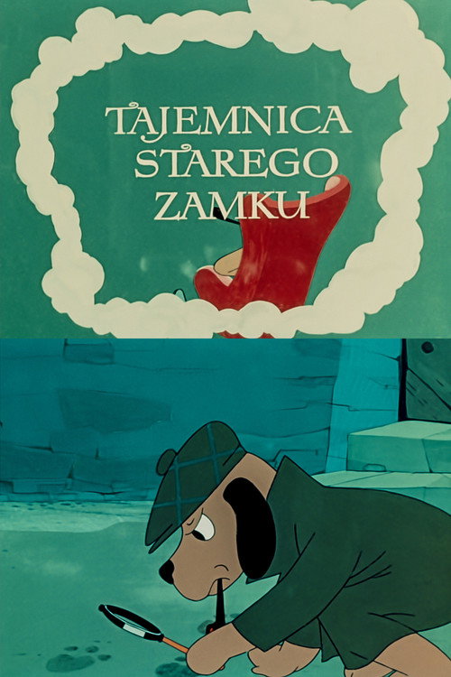 The Mystery Of The Old Castle poster