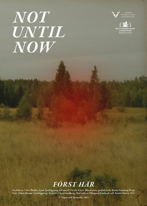 Not Until Now poster