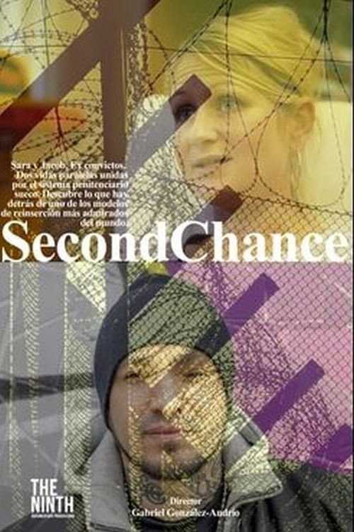 Second Chance poster