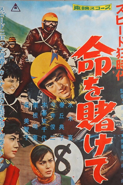Speed Crazy poster