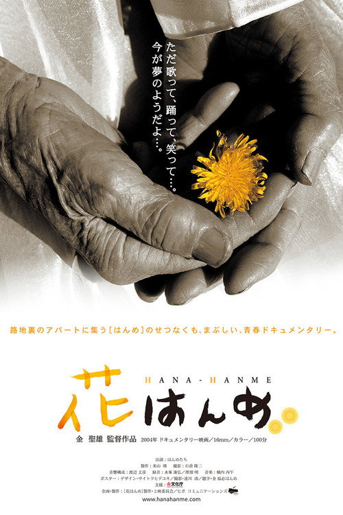 Hana Hanme poster