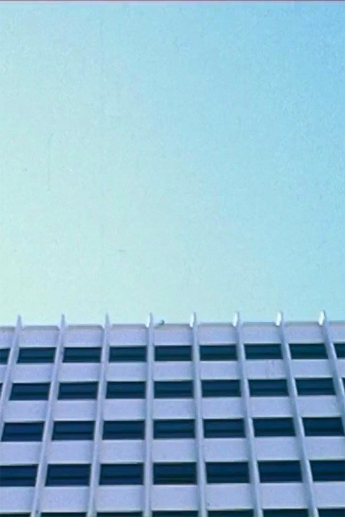 Descenso poster