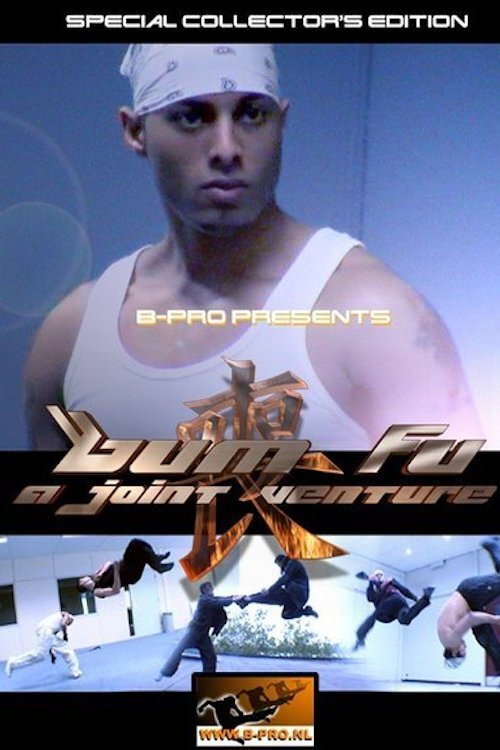 Bum Fu: A Joint Venture poster
