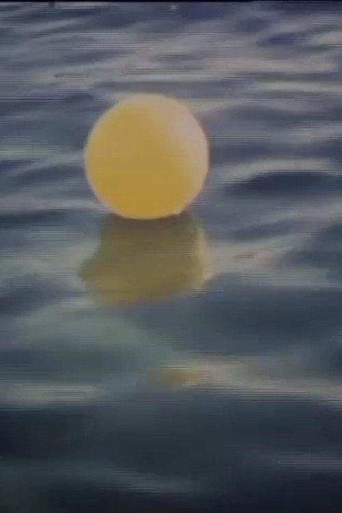 I Swam in the Sea Last Week poster