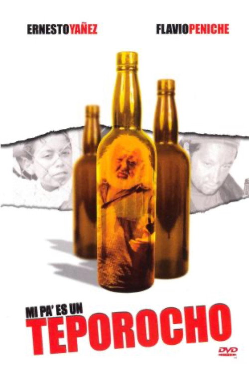 Memorias de un borracho poster