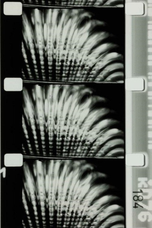 Pénélope poster