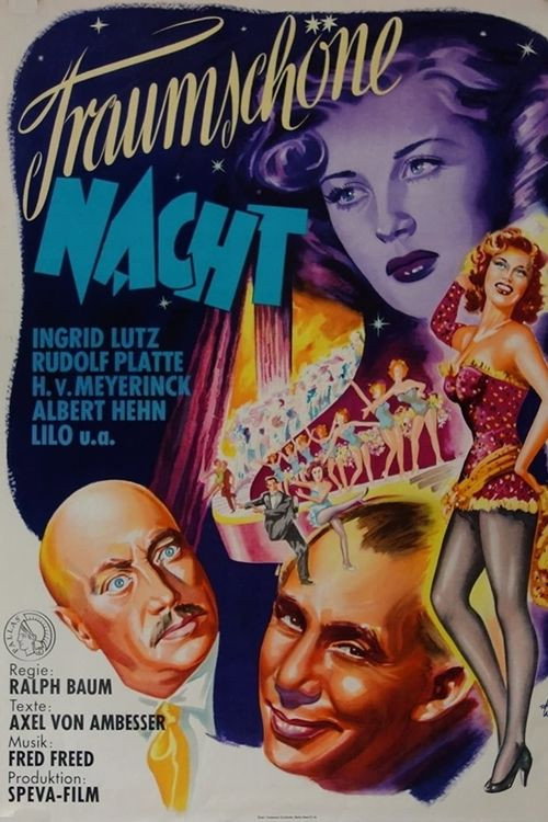 Traumschöne Nacht poster