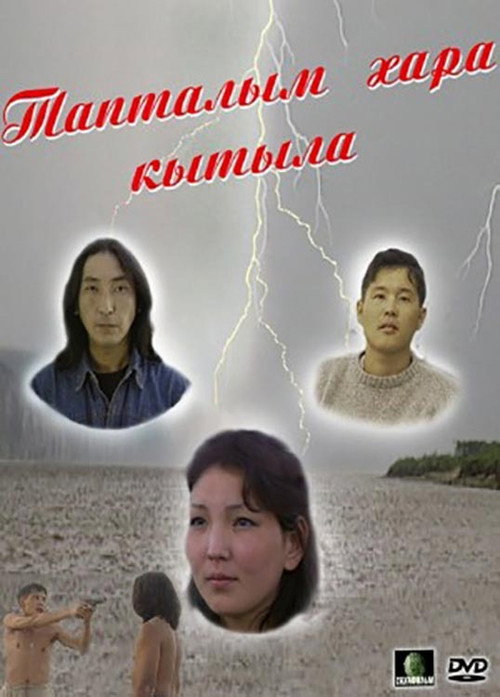 My Love is Black poster