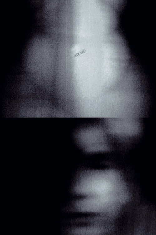 Vivantes lueurs poster