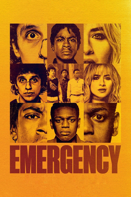 Emergency poster