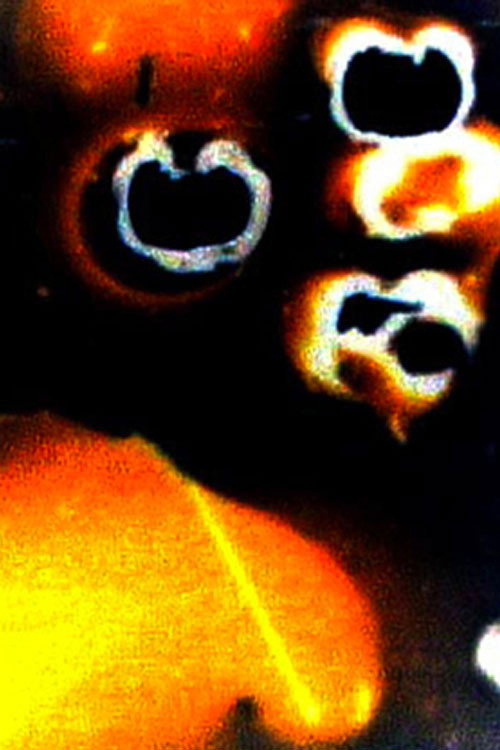 Fartasia poster