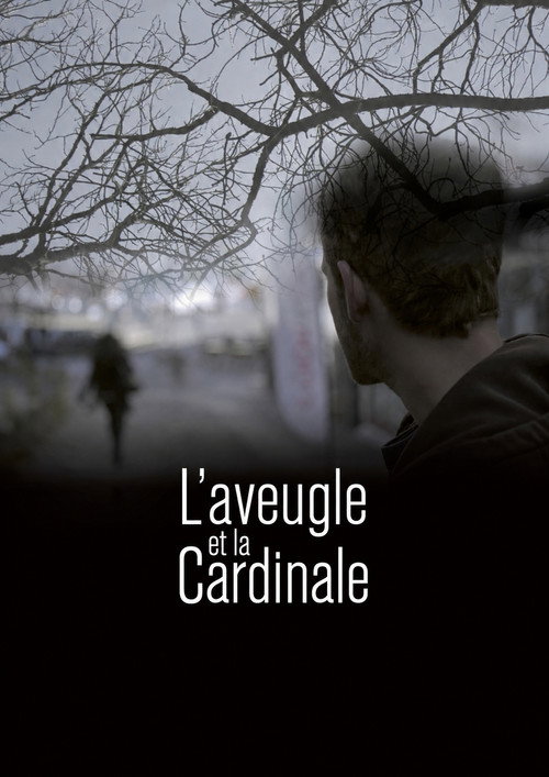 The Blind and the Cardinal poster
