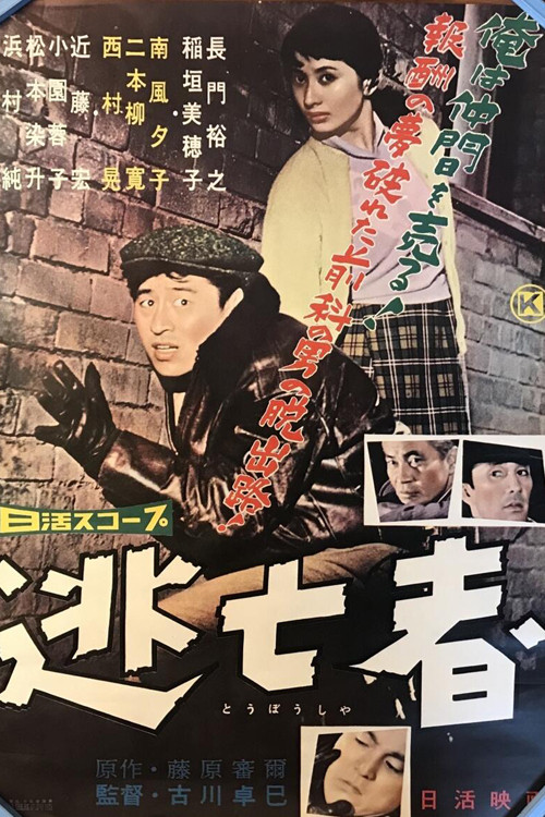 The Fugitive poster