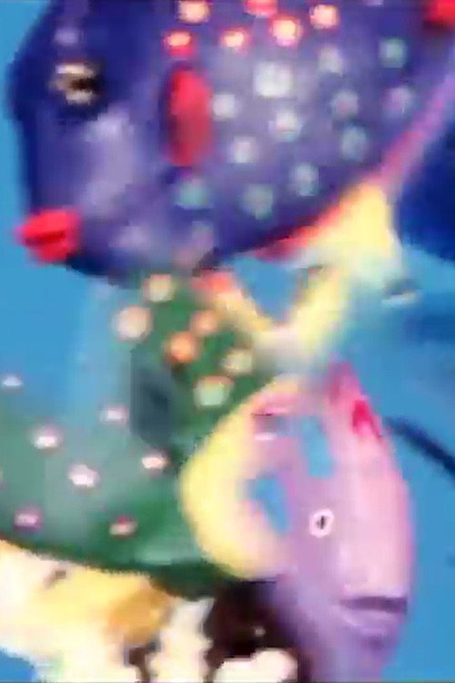 Fishtank poster