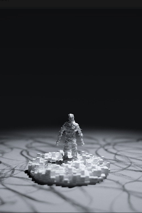 Void poster
