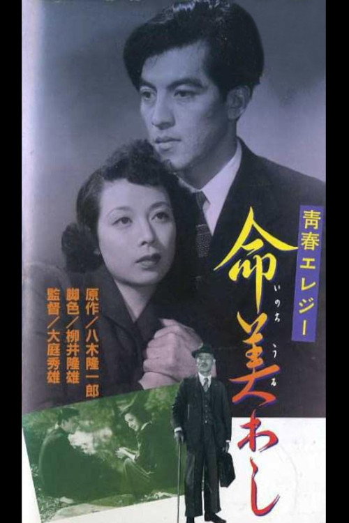 Beauty of Life poster