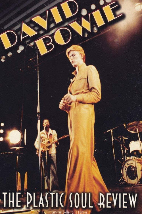 David Bowie - The Plastic Soul Review poster