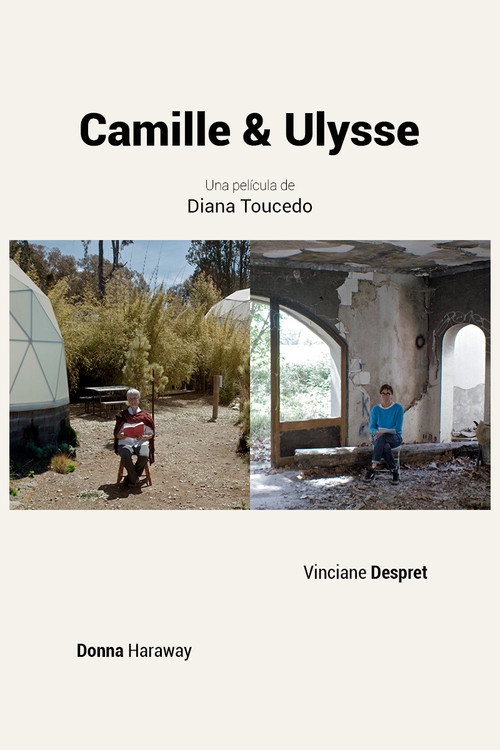 Camille & Ulysse poster