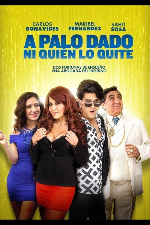 A Palo dado ni quien lo quite poster