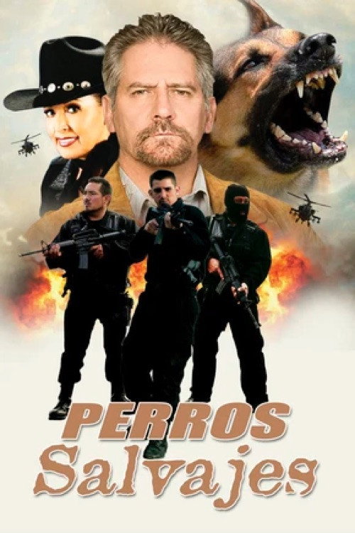 Perros salvajes poster