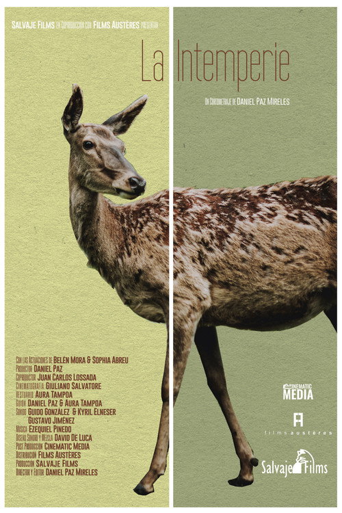 Out in the Open poster